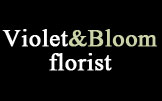 Violet and Bloom
