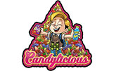 Candylicious Ty Pawb